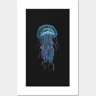 Jelly Fish Posters and Art